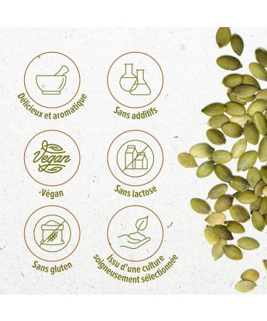 Graines de Courge crues Monte Nativo (500g) - Graines de Courge nature - Pumpkin Seeds raw - pices aromatiques s ch es avec soin id ales pour Cuisiner et Assaisonner - Ar me et Go t intenses Graines de citrouille 500 g (Lot de 1) - Buy Online on GoSupps.com