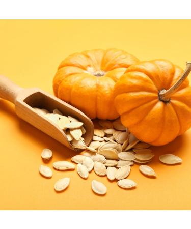 Yupik Semi-Salted Pumpkin Seeds in Shell 185 g Kosher Gluten-Free Seeds With Sea Salt Healthy Snacks Rich in Fiber - Buy Online on GoSupps.com