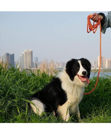 X Xben 12m Dog Tow Line - Thick Leash with Padded Handle for Small & Medium Dogs | Lockable Carabiner | Pink - Buy Online on GoSupps.com