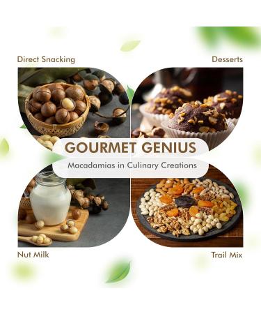CAREEMZ Raw Macadamia Nuts (Unflavoured) - Malawi's Finest Gourmet Snack, Nutritious, Keto Friendly, Vacuum Sealed for Freshness - 450g - Buy Online on GoSupps.com