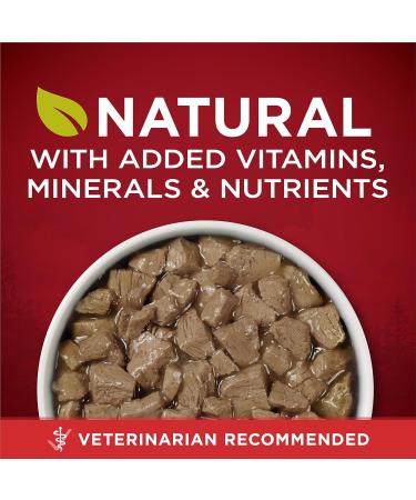 Purina ONE Tender Cuts True Instinct Wet Dog Food in Gravy Variety Pack 2 Flavours - 368 g Can (6 Pack) Pet Food - Buy Online on GoSupps.com