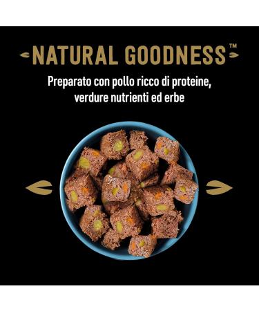 Cesar Natural Goodness Wet Dog Food 6 Cans with Chicken & Vegetables - 2.4 kg - Buy Online on GoSupps.com