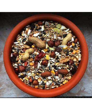 cura-canin 10 kg premium squirrel super food squirrel food of the highest class scatter feed feeder - Buy Online on GoSupps.com