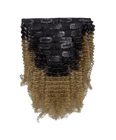 Anrosa 10 Inch Blonde Afro Kinky Curly Clip in Hair Extensions - 120g Human Hair 4A 4B for Black Women, 1B Ombre 1B/27 - Buy Online on GoSupps.com