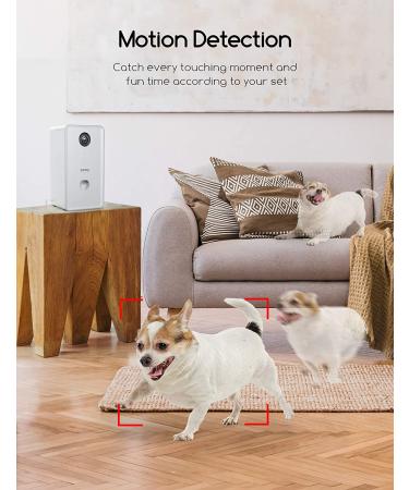 Faroro Dog Camera with Treat Dispenser - 1080P Full HD WiFi Pet Camera for Remote Monitoring and Treat Tossing - Buy Online on GoSupps.com