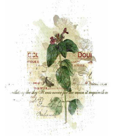 Greenery Overlay Rice Paper 8x10.5 inch - 6 Different Printed Mulberry Paper Images for Decoupage Crafts and Mixed Media Art - Buy Online on GoSupps.com