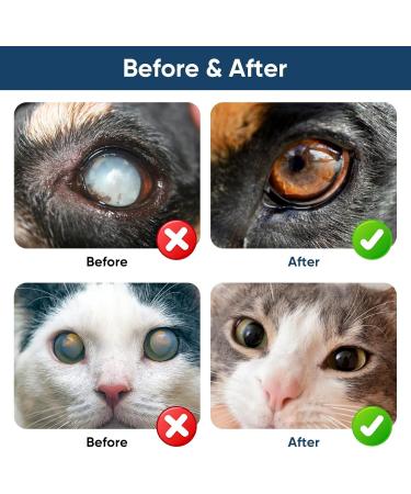 Cataract Eye Drops for Dogs Pets Eye Drops Effective Dog Eye Infection Treatment Cats Eye Cleaner Cataract Eyedrops Improve Vision Clarity Relieve Red Eyes & Allergy Symptoms (2 x 0.35fl.oz) Blue - Cataract Eyedrops for Dogs (2 Bottle) - Buy Online on GoSupps.com