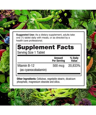 PlantFusion Vegan Vitamin B-12 500 mcg - 100 Tablets | Supports Energy & Mood - Buy Online on GoSupps.com