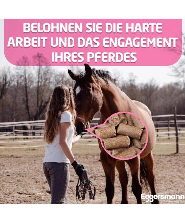 Eggersmann Delicious Raspberry Treats for Horses & Ponies - 2.5 kg Bag - Natural Horse Snacks - Buy Online on GoSupps.com