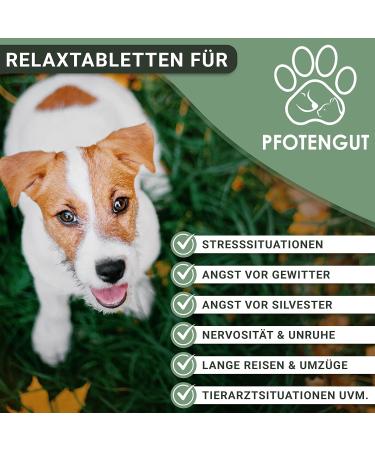 Pfotengut Relax Tablets - Natural Dog Sedative with Taigawurzel Valerian & Hemp | 120 Made in Germany | 2023 Improved Formula - Buy Online on GoSupps.com