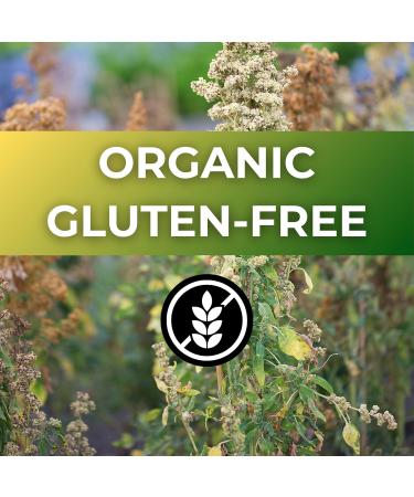 Organic White Quinoa Non-GMO Gluten-Free High-Protein Superfood for Healthy Meals (225 Grams) 225 Grams - Buy Online on GoSupps.com