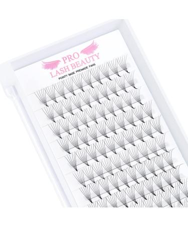Premade Fans Eyelash Extensions 6D-D-0.10-16 Premade Volume Lash Extensions Pointed Base Fans 0.07 Premade Volume Fans C D Curl(6D-D-0.10 16mm)