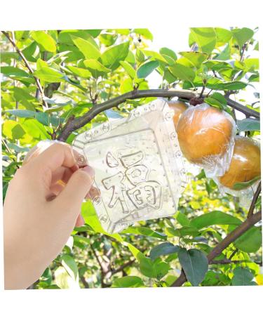 BESPORTBLE 2pcs Square Apple Molds Plastic Fruit Mushroom Mushroom Supplies Accessories Modeling - Buy Online on GoSupps.com