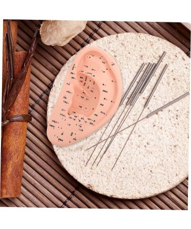 Solustre Ear Massage Model - Natural Size Human Ear Acupoint Tool with Base - Buy Online on GoSupps.com