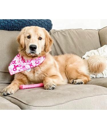 Nylabone Power Chew Breast Cancer Awareness Pink Dog Toy - Chicken Souper Chew - Buy Online on GoSupps.com