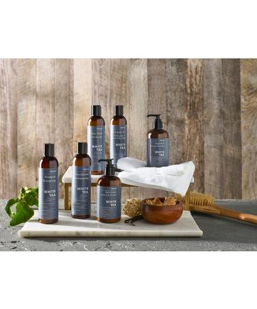 Westin White Tea Aloe Body Lotion - 8 oz Body Moisturizer with Signature Scent - Buy Online on GoSupps.com