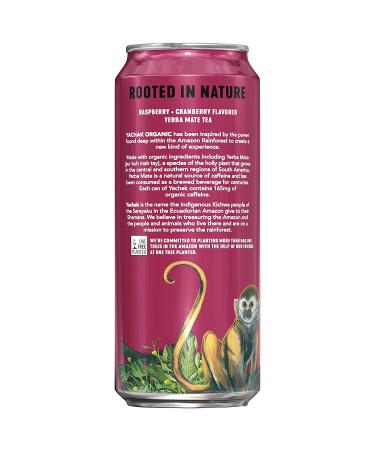 Yachak Yerba Mate Drink Berry Red 16 Fl Oz Cans - Pack of 12 | Energizing Natural Flavor - Packaging May Vary - Buy Online on GoSupps.com
