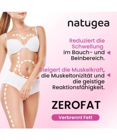 ZEROFAT - Rapid Weight Loss Fat Burners with Carnitine Guarana & Garcinia Cambogia | Detox Solutions for Effective Fat Loss | Shop Internationally - Buy Online on GoSupps.com