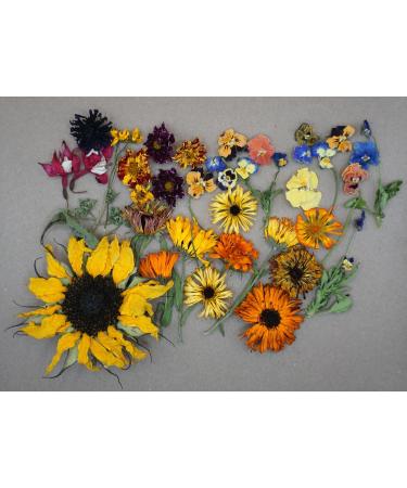 Dried Edible Flowers - Buy Online on GoSupps.com