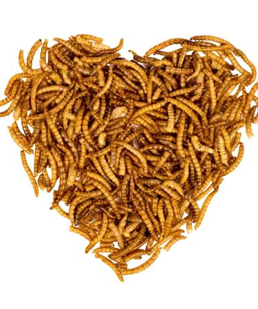 Lyra PET |3 x 1 kg of mealworms |Ideal for decorative and pond fish |Gently dried |Prote -rich fish feed |Rich in vitamins & minerals |Nutrient -rich energy source for KOI