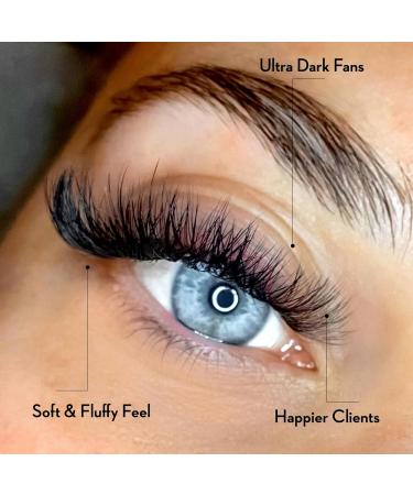 Buy 10D C Curl Premade Fans - 384 Professional Use Eyelash Extensions 0.07mm - 9mm to 16mm | International Shipping Available - Buy Online on GoSupps.com