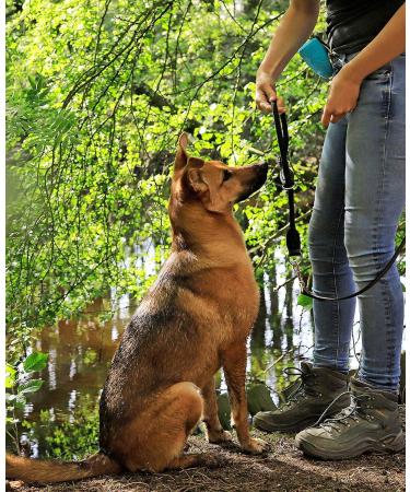 Buy Lionto Dog Collar | Retriever Training Collar | 45 cm Length Black - Perfect for Dogs - Buy Online on GoSupps.com