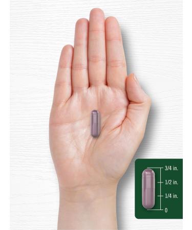 Carlyle Bilberry Extract 3600 mg Non GMO Gluten Free Fruit Supplement 150 Vegetarian Capsules - Buy Online on GoSupps.com