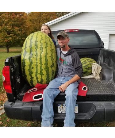 Wallace Organic Wonder Soluble Seaweed Powder Organic Fertilizer (20 pounds) - Buy Online on GoSupps.com