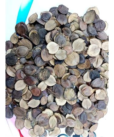 RAW HERB/JADI BOOTI EDIBLE HARSHRINGAR SEEDSBEEJ HARSHINGAR PAARIJAAT BEEJ PARIJAT SEEDS NYCTANTHES ARBOR TRISTIS (50GM) - Buy Online on GoSupps.com