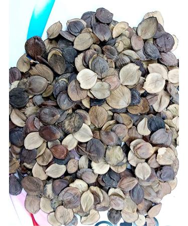 RAW HERB/JADI BOOTI EDIBLE HARSHRINGAR SEEDSBEEJ HARSHINGAR PAARIJAAT BEEJ PARIJAT SEEDS NYCTANTHES ARBOR TRISTIS (50GM)
