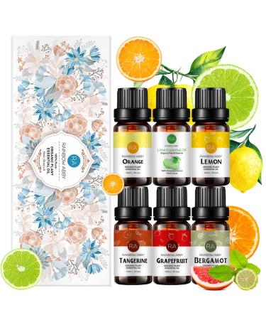 RAINBOW ABBY 6-PACK Citrus Essential Oil Set 100% Pure Orangic Oils (Bergamot Grapefruit Lemon Orange Lime Tangerine) 6x10ML