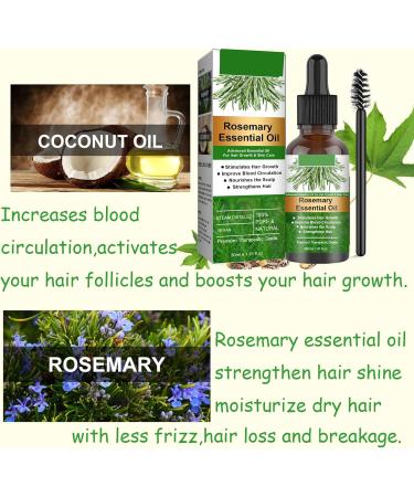 Rosemary Oil for Hair Growth 60ml Hair Oil Diminishes Signs of Aging Nourishes the Scalp Strengthens Hair Stimulates Hair Growth Treat Dry Damaged Hair Rosemary Essential Oil for Hair Growth 2 Brush 30ml - Buy Online on GoSupps.com