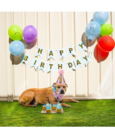 Dher Pet Birthday Set - Pink Sequin Hat & Party Decoration for Dogs & Cats | Festive Birthday Accessories - Buy Online on GoSupps.com