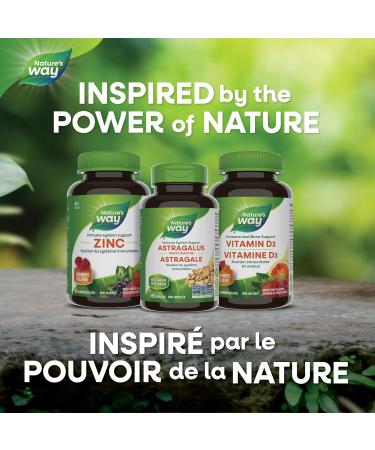 Nature's Way Astragalus Root Iummune System Support Value Size 180 Vegetarian Capsules 180 count (Pack of 1) - Buy Online on GoSupps.com