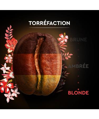 BLACK CARD - Black Card "Honduras Selection" Ground Coffee - Organic Ground Coffee - Pure Arabica Ground Coffee - Pack of 2 - Buy Online on GoSupps.com