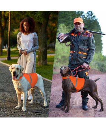 Adjustable Reflective Safety Vest for Dogs - High Visibility Warning Vest for Day & Night Outdoor Activities - Orange - Buy Online on GoSupps.com