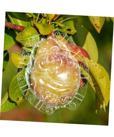 Balacoo Shaped Growth Mold Fruit Shaper Small Forming Mold Cucumber Fruits Watermelon Maitreya Plastic - Buy Online on GoSupps.com