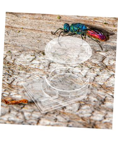 Ipetboom Pet Water Feeder Ant Water Feeders Ant Watering Cup Ant Bottle Feeder Ant Keeping Ant Feed Bowl Ants Feeding Device Ant Watering Station Ant Feeder Tool Animal Sea turtle Plastic - Buy Online on GoSupps.com