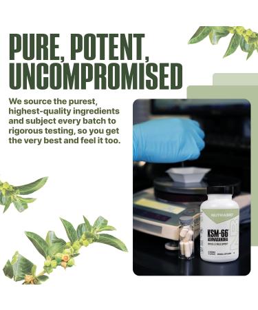 NutraBio Ashwagandha KSM-66 | Ashwagandha Herbal Supplement for Stress, Mood, & Performance | 600 MG of Clinically Studied KSM66 60 Capsules 60 Count (Pack of 1) - Buy Online on GoSupps.com