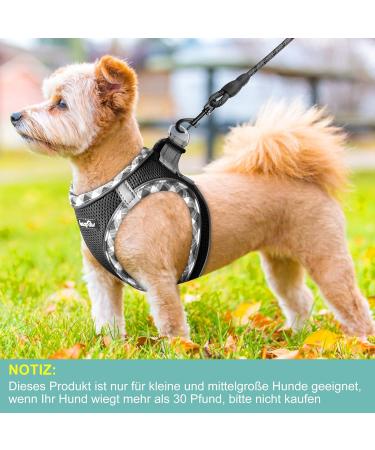 Haapaw Adjustable No-Pull Dog Harness & Leash Set - Reflective Padded Vest for Extra Small to Medium Dogs (Black Size L) - Buy Online on GoSupps.com
