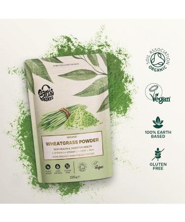 Organic Wheatgrass Powder 225g for Energy & Skin Health | Earths Basket - Buy Online on GoSupps.com