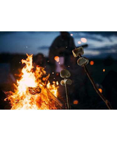 Buy Mr. Mallo Super Barbecue Marshmallows - Soft Foam Sugar Candy for Grilling & Campfires | 6x300g - Buy Online on GoSupps.com