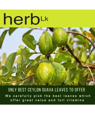 HerbLk Guava Dried Leaves Whole Tea 30+ Leaves (0.5 Oz / 15G) Hojas De Guayaba Psidium Guajava 100% Natural Delicious From Sri Lanka No Additives No Caffeine Vegan Non-GMO - Buy Online on GoSupps.com