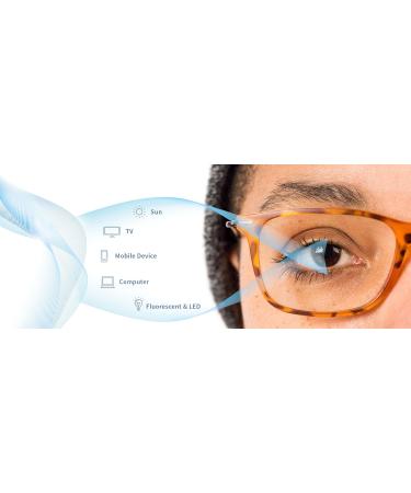 Buy MODA Blue Light Blocking Glasses - Anti Blue Ray Nerd Eyewear with Clear Lens | Protect Your Eyes While Gaming and Working - Buy Online on GoSupps.com
