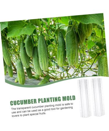 Milisten Horticulture 3pcs Vegetable Shaping Mold Strawberry Garden Tools Cucumber Molds As Shown 20x6cm - Buy Online on GoSupps.com