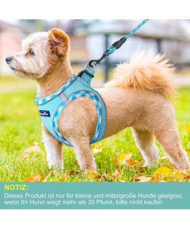 Haapaw Adjustable No Pull Dog Harness & Leash Set - Reflective Padded Vest for Extra Small to Medium Dogs (Turquoise 3.2-5 kg) - Buy Online on GoSupps.com