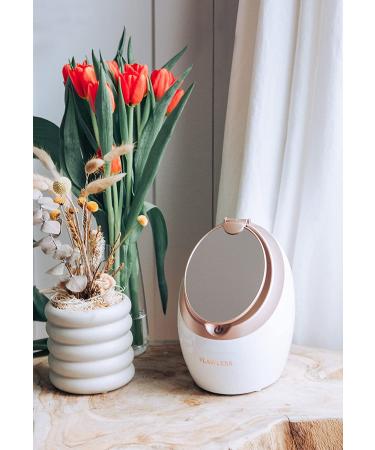 Finishing Touch Flawless Face Steamer: Refresh and Rejuvenate Your Skin - Buy Online on GoSupps.com