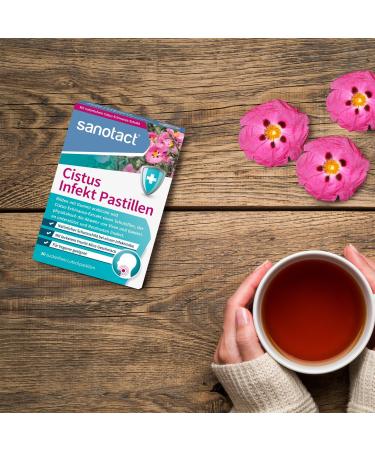 Sanotact Cistus Infect Pastilles - Cistus-Echinacea Lollipops for Virus & Bacteria Defense - 180 Pack (6 x 30) - Relief for Cough & Irritation - Fruit Mint Flavor - Buy Online on GoSupps.com