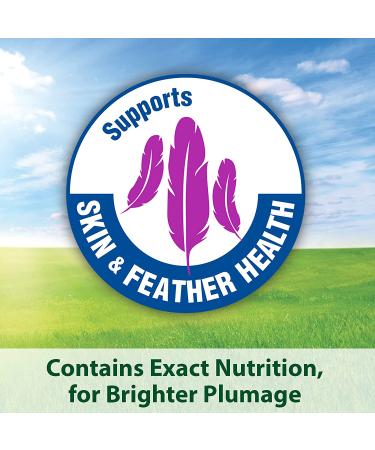 Kaytee Forti-Diet Pro Health Cockatiel Food with Safflower - Buy Online on GoSupps.com