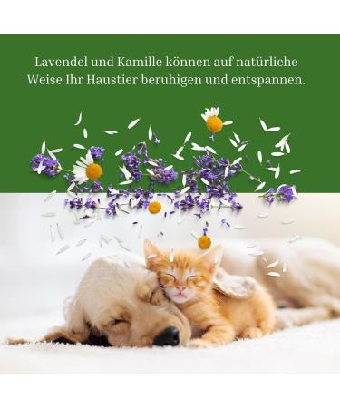 Relaxing Probiotic Snacks for Dogs & Cats - Anti-Stress Treats for Fear & Nervousness (150g) - Buy Online on GoSupps.com